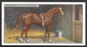 PLAYER - RACEHORSES - #8 DOUBLE CHANCE - Picture 1 of 2