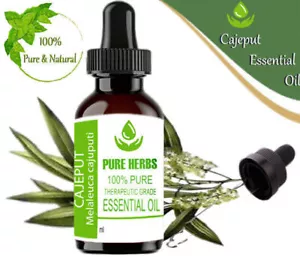 Pure Herbs Cajeput 100% Pure & Natural Melaleuca cajuputi Essential Oil - Picture 1 of 6