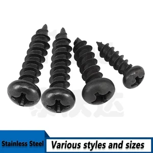 Phillips Pan Head Sheet Metal Self Tapping Screws Black 304 Stainless Steel New - Picture 1 of 6