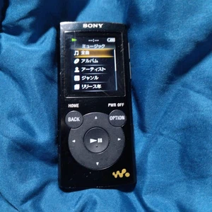 Sony NW-E063 4GB Black Walkman MP3 Player Music Playback Working tested Japan - Picture 1 of 8