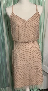 Adrianna Pappell Blush Pink Dress Sequin Detail, NWT, Size 6, Homecoming - Picture 1 of 15