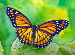 Watercolor Painting Butterfly Insect Flowers Nature ACEO Art No.274 - Picture 1 of 2