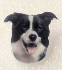 Border Collie Dog Head Small Flat Acrylic Pin Tie Tac Jewelry
