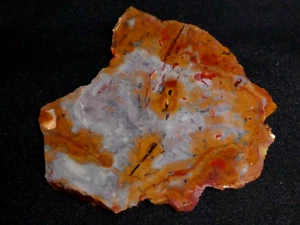 Losa de riolita cola de gallo -4" x 3 1/2"--áspera para cableado o exhibición/4 - Imagen 1 de 3