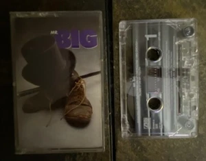 Mr. Big - S/T SELF TITLED CASSETTE EXCELLENT 1989 OOP RARE HTF US SELLER - Picture 1 of 4