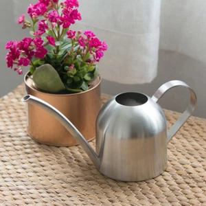 Watering Kettle Flower Watering Can Watering Pail Iron Watering Can - Picture 1 of 11
