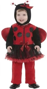 Lady Bitty Bug Costume Infant 12-18 Months, So Fun! E44 - Picture 1 of 2