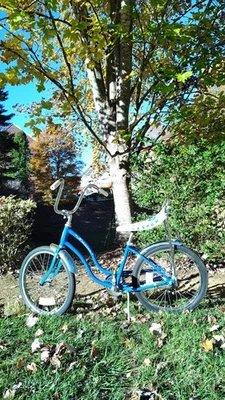 1978 Schwinn Fair Lady Stingray  Vintage Cruiser, Professionally Restored  - Image 1 of 4