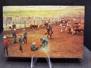 POSTCARD: Cattle Ranch Branding Time X6 - Picture 1 of 2