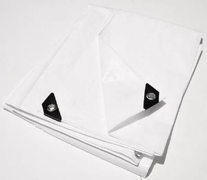12' x 20' White Heavy Duty 12 mil Tarp Patio Party Tent Swap Meet Booth Canopy - Picture 1 of 1