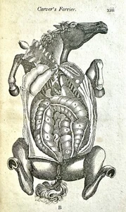 Horse Farrier: Travel Pocket Companion Pferdegesundheit 1820 von William Carver ~ RAR - Bild 1 von 19