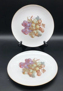 Winterling Roslau Bavaria Germany 8" Dessert/Salad Plates, Gold & Grapes Set 2 - Picture 1 of 11