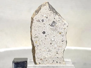 NWA 17896, Howardite, 11,82 g, rebanada con cara pulida, bonita corteza e inclusiones - Imagen 1 de 17