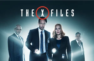 X-Files 17" X 11" - Temporada 11 Póster impreso Promocional Xfiles - Imagen 1 de 1