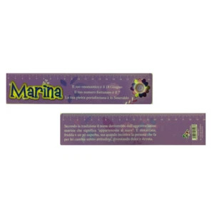 Ruler School IN Plastic Flexible Plate With Name Marina 20cm Gift Idea - Bild 1 von 1