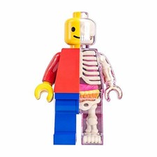 4D Master Brick Man Funny Anatomy by Jason Freeny 