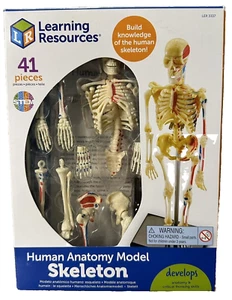 Learning Resources STEM Human Anatomy Skeleton 9.2" Tall Realistic Model 41 Pc - Picture 1 of 2