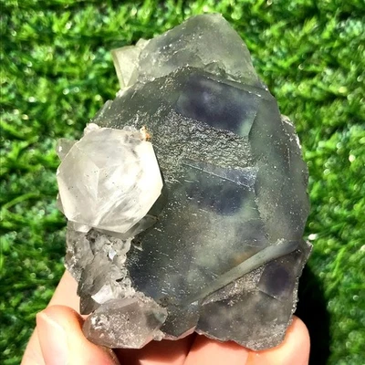210G Raro Fluorita Natural Cuarzo Racimo Cristal Mineral Espécimen Curación Foto 1 de 4