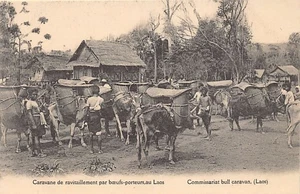 Laos - A supply caravan by oxen - Paris Foreign Missions Publishing - - Laos - U - Picture 1 of 2