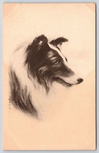 Collie Haustier Hund schwarz-weiß Portrait Gemälde Kunstwerk Postkarte - Bild 1 von 2
