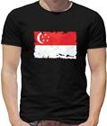 Singapore Flag Mens T-Shirt - Country - Asia - Travel - Flags - Gift - Padang