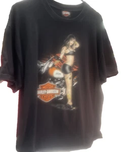 2006 Harley Davidson T Shirt Size XL Biker Albuquerque NM Double Stitched Clean - Picture 1 of 6