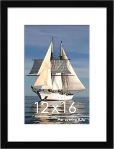 12X16 Picture Frame Display Pictures 8.5X11 with Mat or 12 X 16 without Mat for - Picture 1 of 7