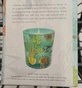 Art Of Nature Under The Sea Collection Soy Coco Wax Candle 8 Oz (3.5 " Tall) - Picture 1 of 3