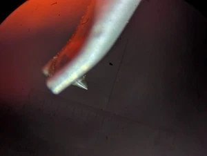Tocadiscos de seguimiento lineal KENWOOD P5R usado - Imagen 1 de 9