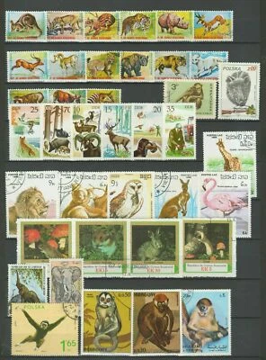 Fauna mundial - Animales salvajes ☀ CTO/Usado - Dos escaneos Foto 1 de 2