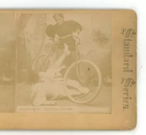Bicicletta Il Suo Primo Incidente Genere Stereoview - Foto 1 di 3