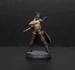 Female Rogue, Assassin. D&D well painted - Picture 1 of 3