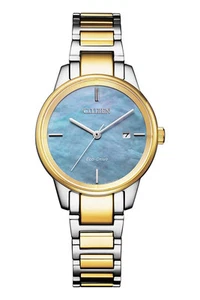 Citizen Eco-Drive Classic Women's stainless steel two tone Watch EW2594-84Y - Picture 1 of 7