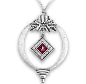 48585 Florida State Seminolen FSU Bulb Team Logo mit Strass Ornament - Bild 1 von 1