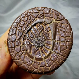 Chinese Natural Stone "Tortoise Back Pattern" Stone Moire Stone  - Picture 1 of 12