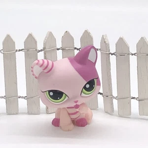 LPS Littlest Pet Shop # 1856 rosa Streifen Blythe lecken Katze grüne Augen - Bild 1 von 3