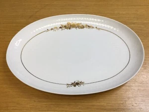 Rosenthal Medley Romance 3621 Handgemalt 16 3/4” Oval Serving Platter - Picture 1 of 6