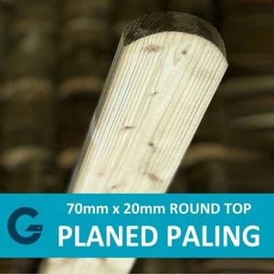 Premium gehobelt 70 mm x 20 mm druckbehandelt Rundholz Palmen - Bild 1 von 5