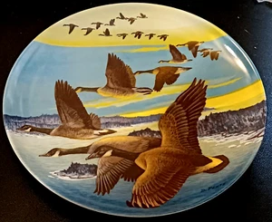 Plato de pájaro ganso canadiense edición limitada Dominion Bradex vintage encuadernado hacia el sur - Imagen 1 de 8