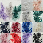3D Flower Lace Trims Embroidery Bridal Applique Beaded Tulle DIY Wedding Dress