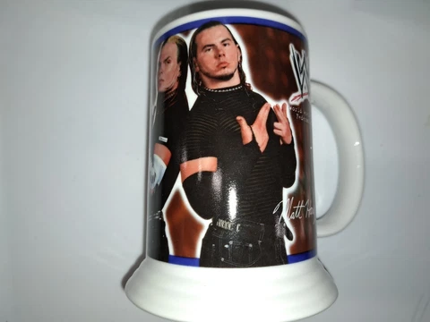 WWF Hardy Boyz Danbury Mint Collector Stein Mug Matt Hardy Jeff Hardy 2001 NEW Cover