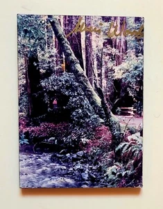 Forest Scene Painting Refrigerator Magnet Handmade Barbo Haglund Free Shipping - Picture 1 of 3