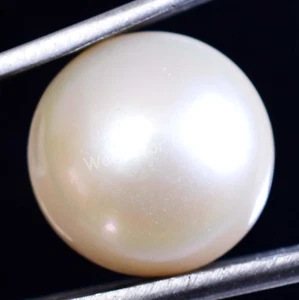 13.10 Ct Natural Australian South Sea White Pearl AGL Certified Untreated Gem - Picture 1 of 6