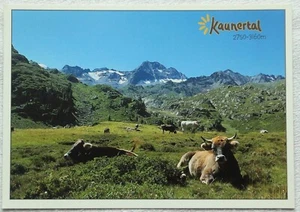 Postkarte vom Kaunertal in Tirol (Österreich) - Bild 1 von 2