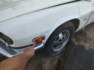 Luz delantera Jaguar XJS 1984-1989 techo rígido solo para guardabarros izquierdo conductor sin bombilla Foto 1 de 4