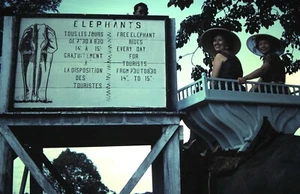 Abril 1961 Kodachrome Slide, damas dando un paseo gratis en elefante en Camboya - Imagen 1 de 1