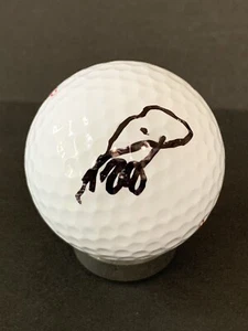 PELOTA DE GOLF AUTOGRAFIADA FIRMADA POR LA SUPERESTRELLA DEL GOLF PGA TOUR PAUL AZINGER - Imagen 1 de 2