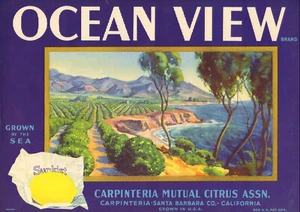 *Original* OZEANBLICK Ozeanküste Santa Barbara Strand Zitronenetikett KEINE KOPIE - Bild 1 von 1