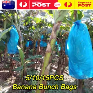 5/10/15pcs Banana Bunch Bags Cover Plant Fruit Bag Protection Ripening Cover - Picture 1 of 12