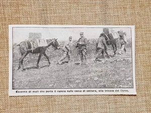 Nelle trincee del Carso 1915 Muli portano il rancio nelle casse di cottura WW1 - Picture 1 of 1